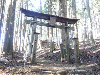 両面神社の鳥居