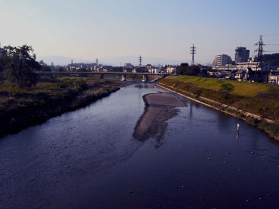 和む景色です