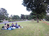 hsQOPV